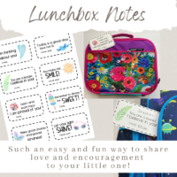 oakhaven-lunchbox-notes